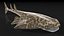 Cinema 4D 用 Rigged Sharks コレクション 12
