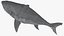 Cinema 4D 用 Rigged Sharks コレクション 12