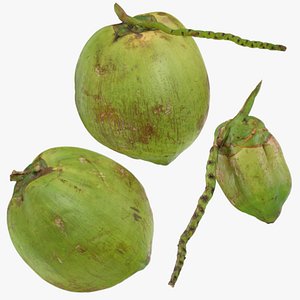Green Coconut Collection 1