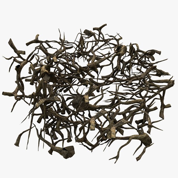 modelo 3d Colección Tree Roots - TurboSquid 958235