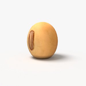 Soybean model