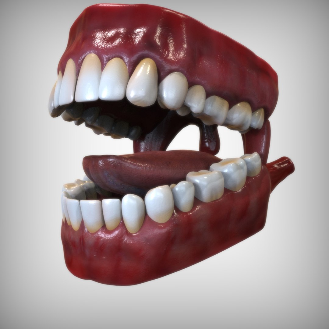 3D Human Mouth - TurboSquid 1520689