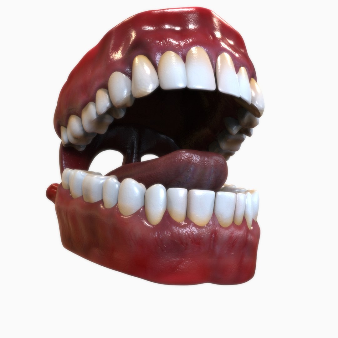3D human mouth https://p.turbosquid.com/ts-thumb/cs/S1z4Y5/QmJs5C4o/view2/jpg/1583790550/1920x1080/fit_q87/ebd344f2b54cf0151a43fd105a88395d99dd1561/view2.jpg