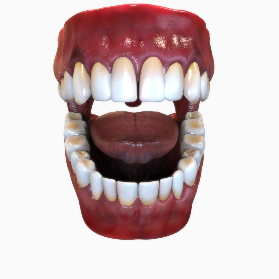 3D Human Mouth - TurboSquid 1520689