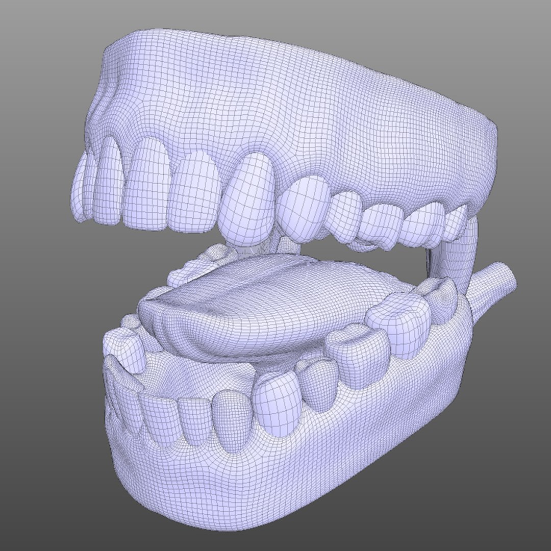 3D human mouth https://p.turbosquid.com/ts-thumb/cs/S1z4Y5/c5xxw2lK/wire3/jpg/1583790550/1920x1080/fit_q87/07f59e7bc807b811f6b4608c2e2ad33537984c69/wire3.jpg
