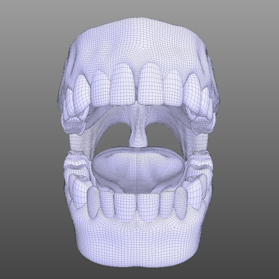3D human mouth https://p.turbosquid.com/ts-thumb/cs/S1z4Y5/ul46rjjg/wire1/jpg/1583790550/1920x1080/fit_q87/8766bbad74b3f9b12250d7a0e97f8203c9627616/wire1.jpg