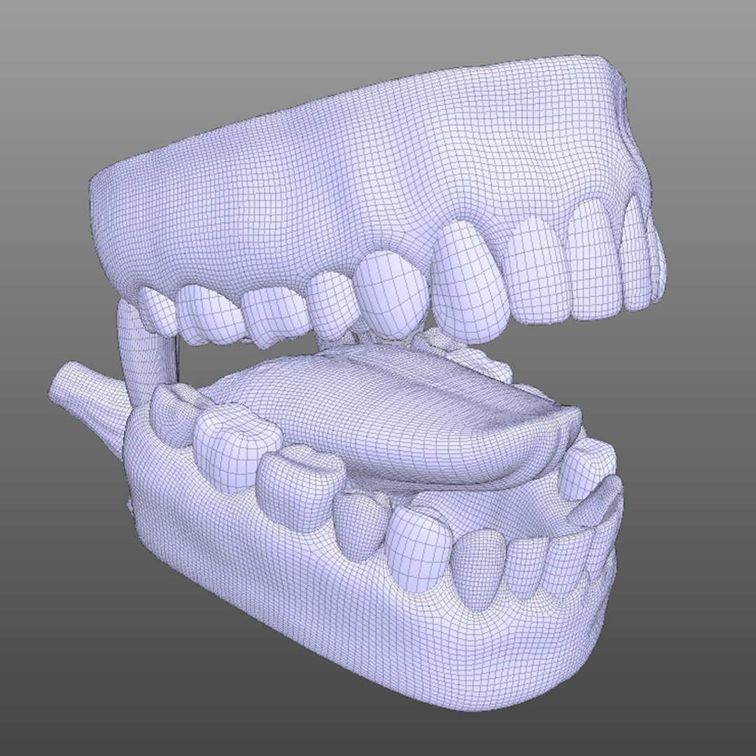 3D human mouth https://p.turbosquid.com/ts-thumb/cs/S1z4Y5/xUw0HMB4/wire2/jpg/1583790550/1920x1080/fit_q87/adf474cb69dc0b1888573ccd03c7d56844ef751a/wire2.jpg