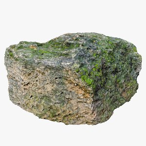 old limestone moss model