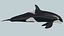 Orca 8K- Animación 3d