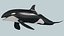 Orca 8K- Animación 3d