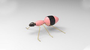 Fauna Ant 3D