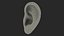 Oreja humana realista izquierda