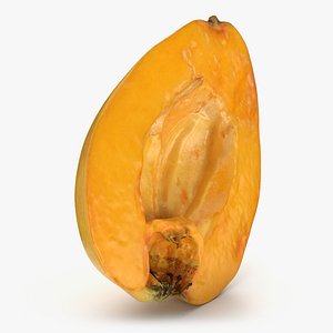 Ripe Loquat Half Section - 3D Scanned 3D model