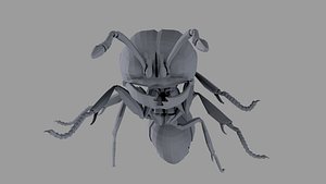 3D Ant