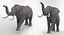 Rigged African Animals Collection 2