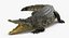 Rigged African Animals Collection 2