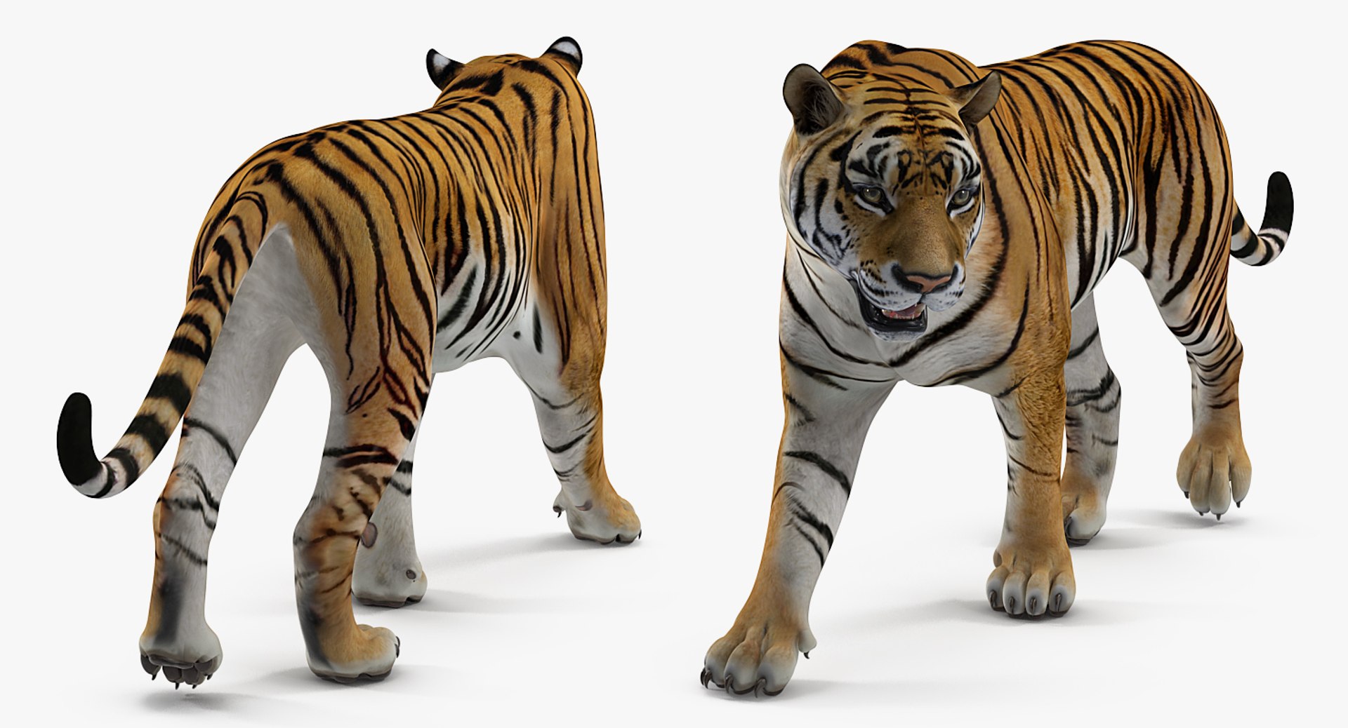 rigged african animals 2 model https://p.turbosquid.com/ts-thumb/ct/AaYSiN/9k3OiKWL/riggedafricananimalscollection2vray3dmodel023/jpg/1536152943/1920x1080/fit_q87/cc64bf7f61edb0a3bb303bc90e844d1559e8fc1c/riggedafricananimalscollection2vray3dmodel023.jpg