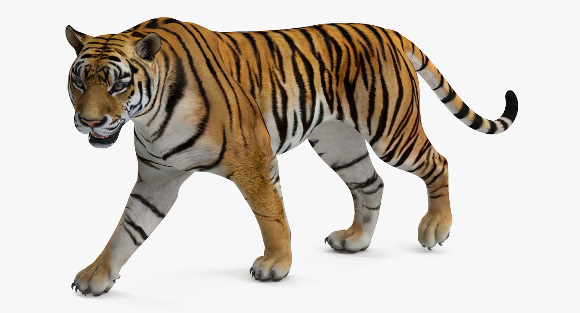 rigged african animals 2 model https://p.turbosquid.com/ts-thumb/ct/AaYSiN/BlcYvn95/riggedafricananimalscollection2vray3dmodel021/jpg/1536152943/1920x1080/fit_q87/441edcd70405b02d23ad7d2c98fc2a2af131c4e1/riggedafricananimalscollection2vray3dmodel021.jpg