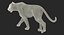 Rigged African Animals Collection 2