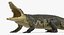Rigged African Animals Collection 2