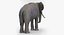 Rigged African Animals Collection 2