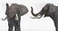 Rigged African Animals Collection 2