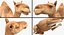 Rigged African Animals Collection 2