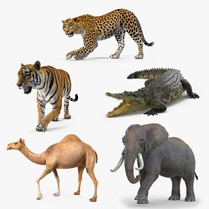 rigged african animals 2 model