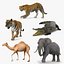 Rigged African Animals Collection 2