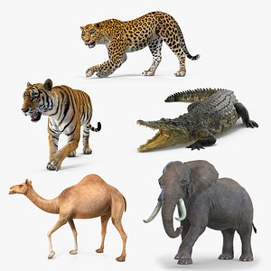 Rigged African Animals 3D Models Collection 2
