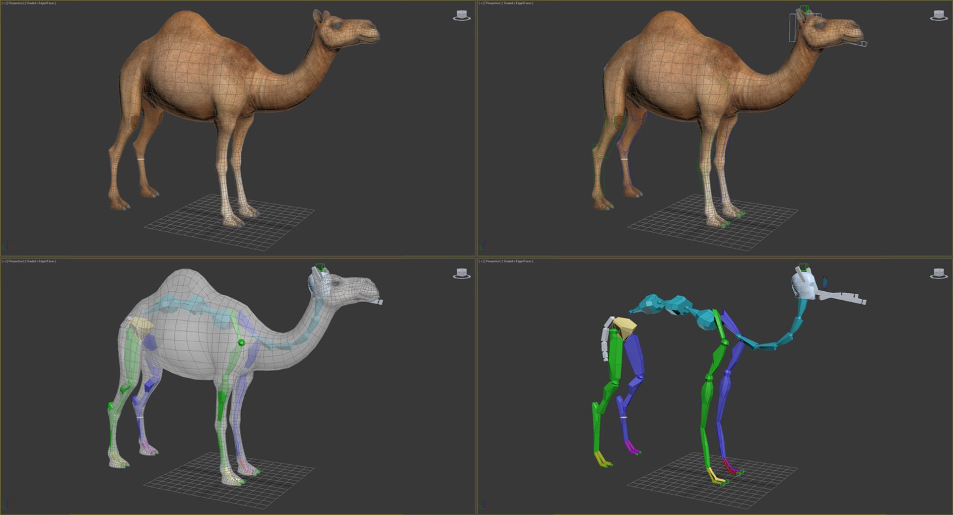 rigged african animals 2 model https://p.turbosquid.com/ts-thumb/ct/AaYSiN/vsAyqeBU/riggedafricananimalscollection2vray3dmodel049/jpg/1536152944/1920x1080/fit_q87/b2654e25755d017711210109fbc08fde4186d494/riggedafricananimalscollection2vray3dmodel049.jpg