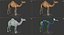 Rigged African Animals Collection 2