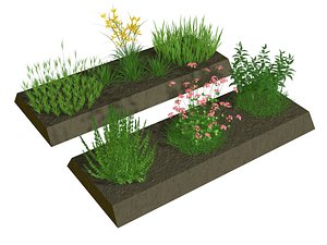 herb herbage 3D model