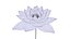 White Lotus- Water Lily 3d Animated 3D