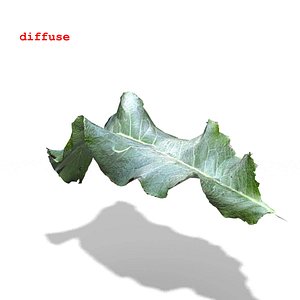 horseradish leaf 3d 3ds