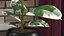 ficus elastica variegata pot 3D