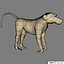 animal baboon wolf 3d model