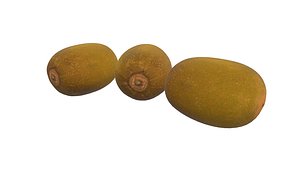 Kiwi Fruit AR VR 3D model