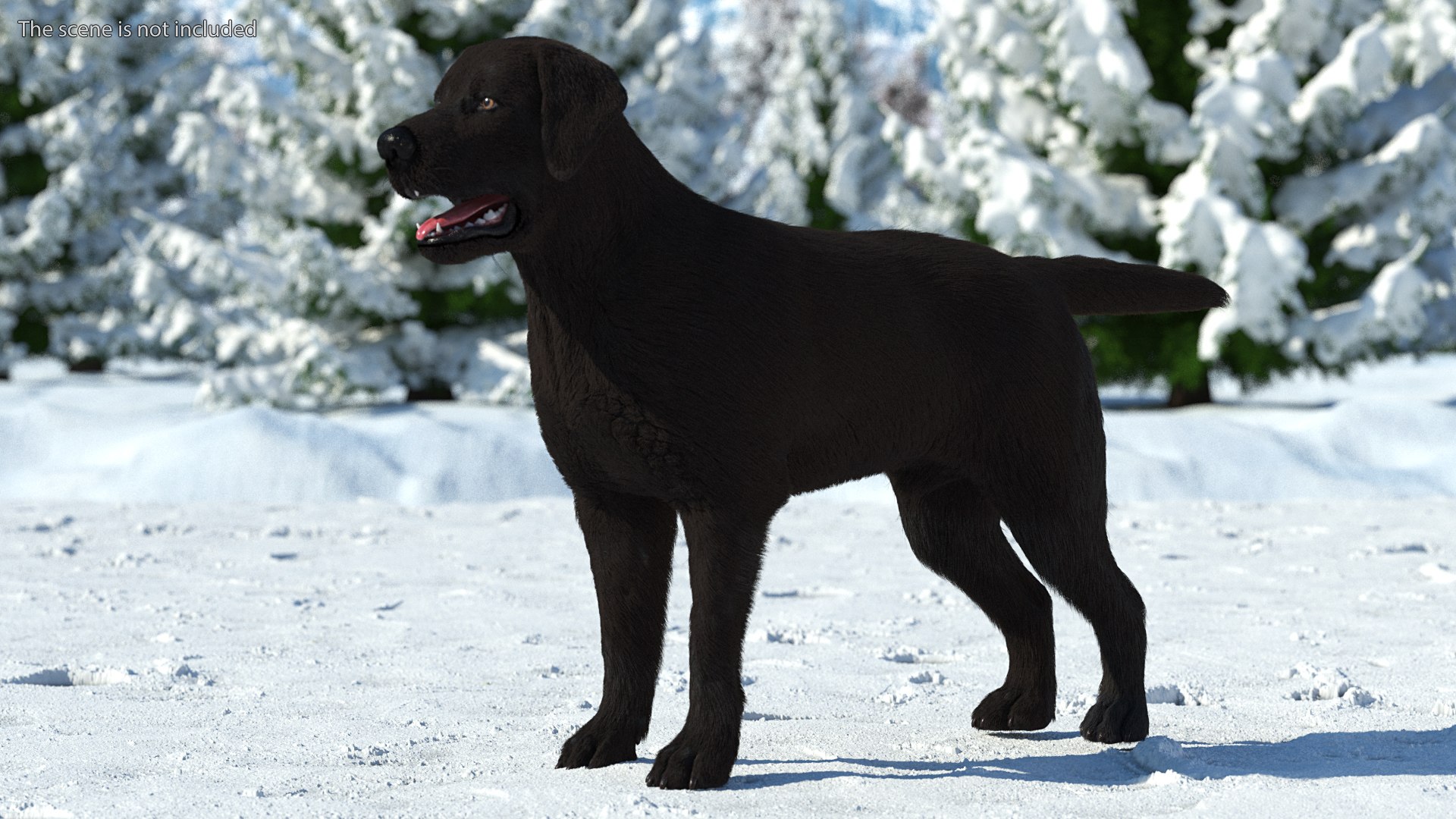3D Labrador Dog Black Rigged Fur https://p.turbosquid.com/ts-thumb/ct/SXoM1C/YD/labradordogblackriggedfur3dsmodel002/jpg/1638618085/1920x1080/fit_q87/3d6f94171fc080c1b6c29a58f9be748bbf7d8e06/labradordogblackriggedfur3dsmodel002.jpg
