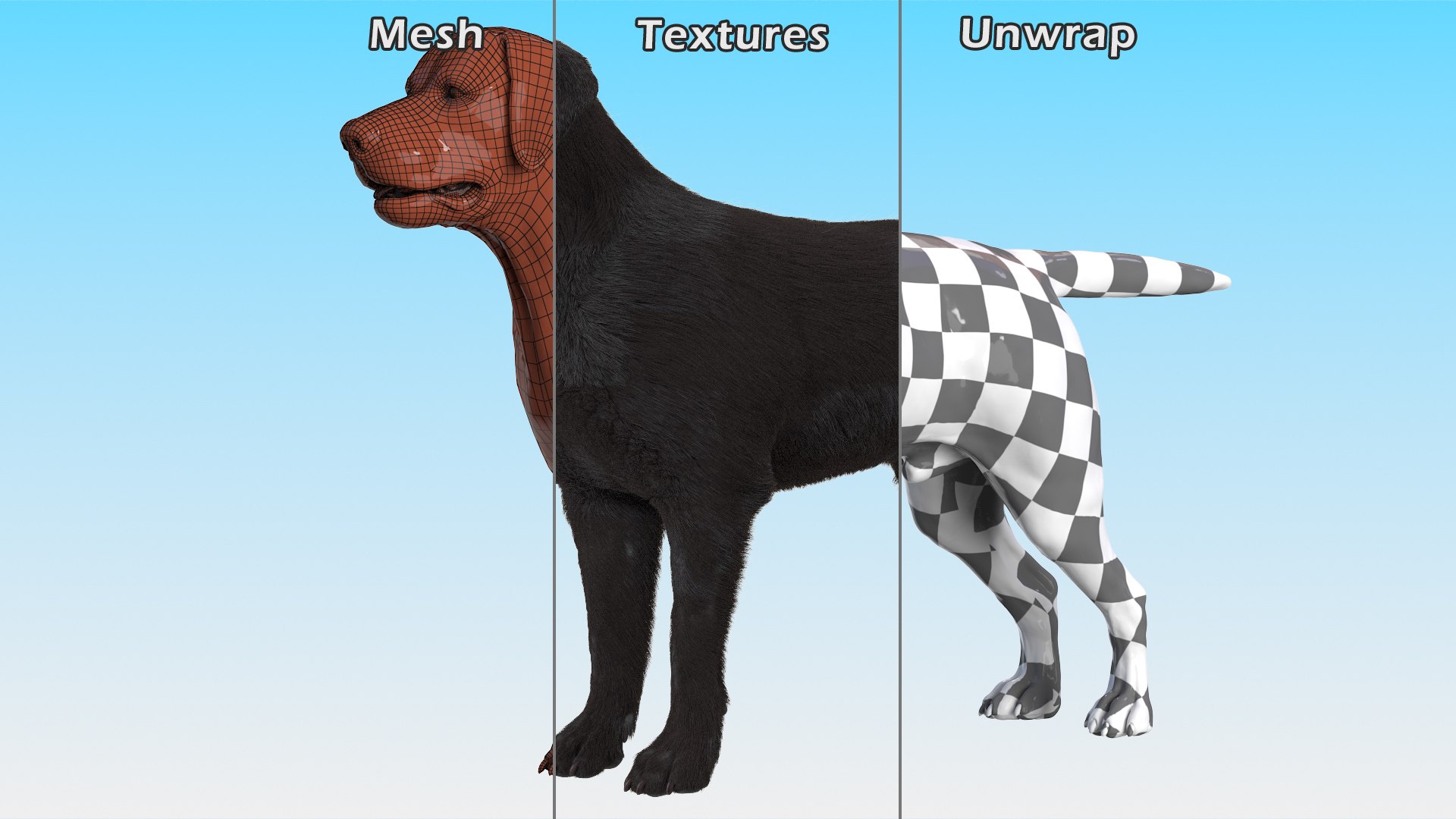 3D Labrador Dog Black Rigged Fur https://p.turbosquid.com/ts-thumb/ct/SXoM1C/bj/labradordogblackriggedfur3dsmodel021/jpg/1638618144/1920x1080/fit_q87/578b29ac37bee2b06778f5e842a1c89335fda6bc/labradordogblackriggedfur3dsmodel021.jpg