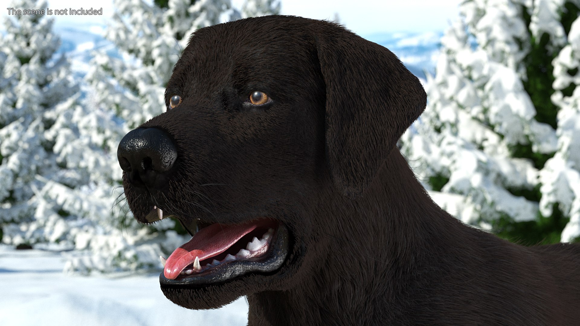 3D Labrador Dog Black Rigged Fur https://p.turbosquid.com/ts-thumb/ct/SXoM1C/qg/labradordogblackriggedfur3dsmodel004/jpg/1638618094/1920x1080/fit_q87/a0a560122c174903a9aef4e8fc92aac2da4d53d6/labradordogblackriggedfur3dsmodel004.jpg