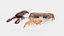 Crustacean