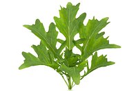 Arugula