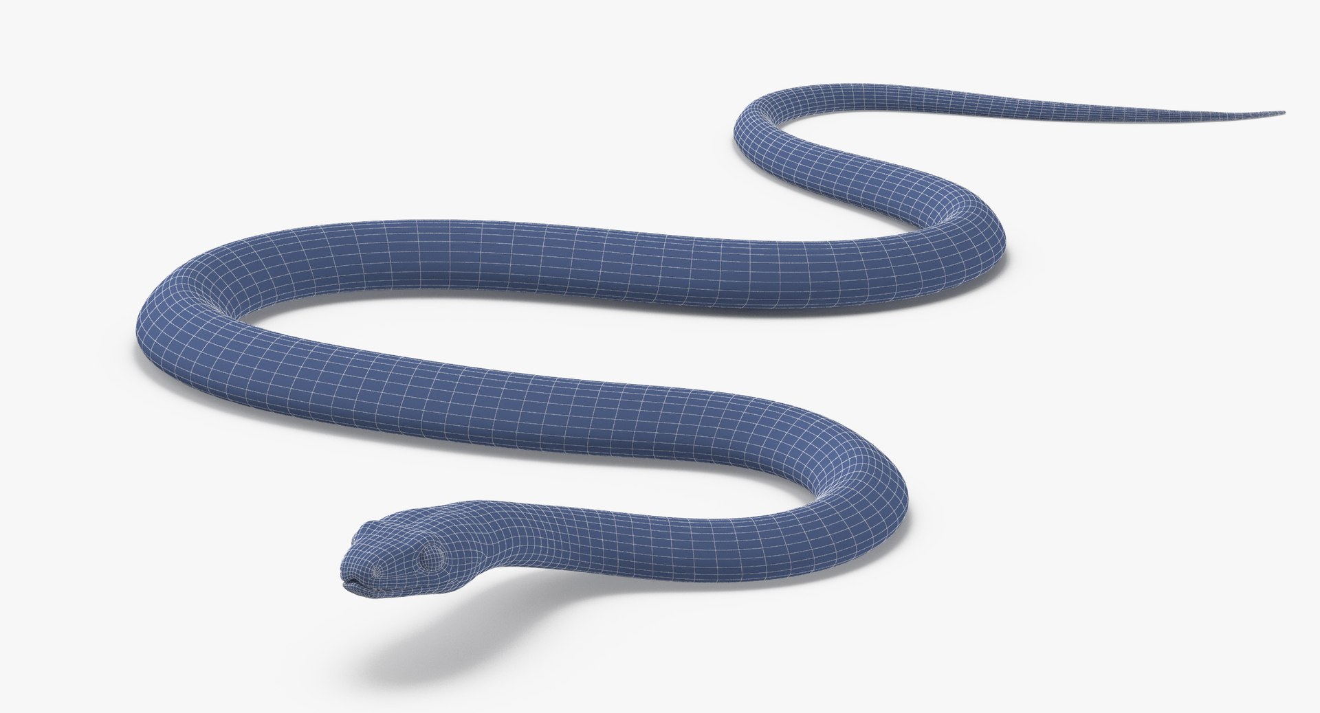 Obj Black Snake 01