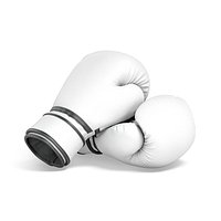 White Leather Boxing Gloves - punch sparring kickboxing equipment