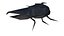 origami insects 5-10