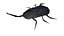 origami insects 5-10