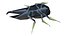 origami insects 5-10
