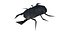 origami insects 5-10