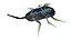 origami insects 5-10
